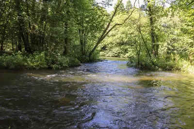 a stream of water with trees on the side of it at Corning Mill View in Ulverston