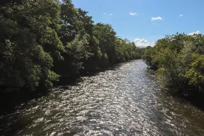 a river with trees on the side of it at Corning Mill View in Ulverston