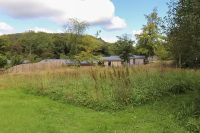 a field of tall grass with a house in the background at Ash Thwaite in Ulverston