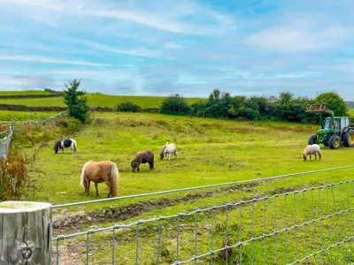 a group of horses grazing in a field with a tractor at The Hayloft, Broughton Beck, near Ulverston budget friendly accommodation close to a beach and Windermere in Spark Bridge