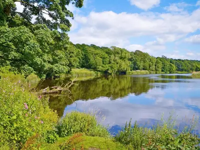 a river with trees on the side of it at The Stable - 30562 in Whalley