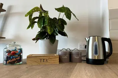 a coffee pot and a plant on a counter at Clock Tower Apartments No3 in Morecambe