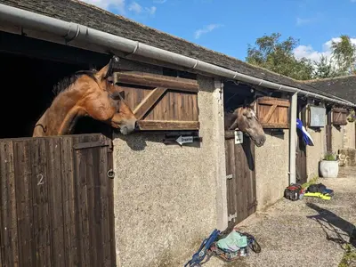 two horses are sticking their heads out of a barn at The Coach House, Yealand Redmayne perfect for a family in a rural setting, bring your dogs and horse in Beetham