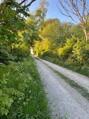 a dirt road with grass and trees on it at Mill House Farm Pods - Lapwing Lodge in Pilling