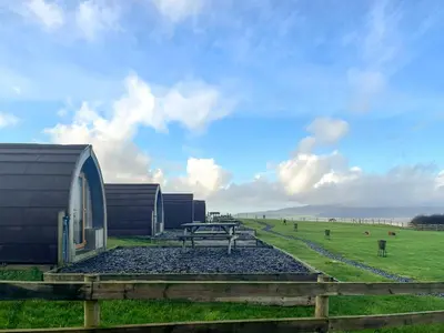 a picnic table in a field next to a barn at Birds - Uk48489 in Dalton in Furness