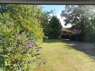 a garden with purple flowers in the grass at Victorian Renovation Room 7 in Liverpool