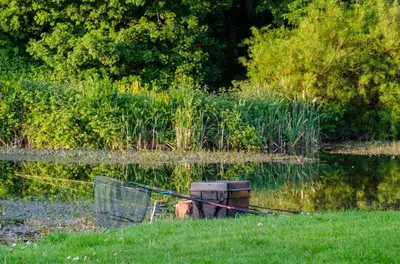 a boat sitting in the middle of a body of water at Borwick Lakes Holiday Caravan (Partial Lake View) in Borwick