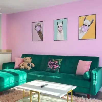 #1 Most Viral Pink House w Ball Pit